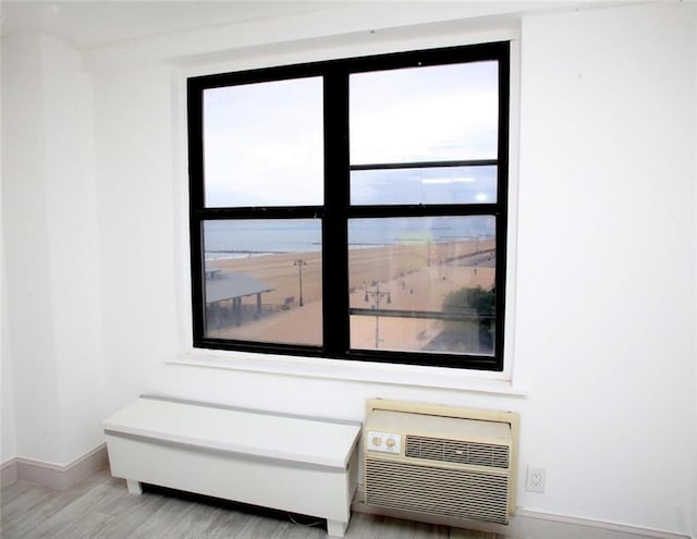 details with a wall unit AC and hardwood / wood-style flooring