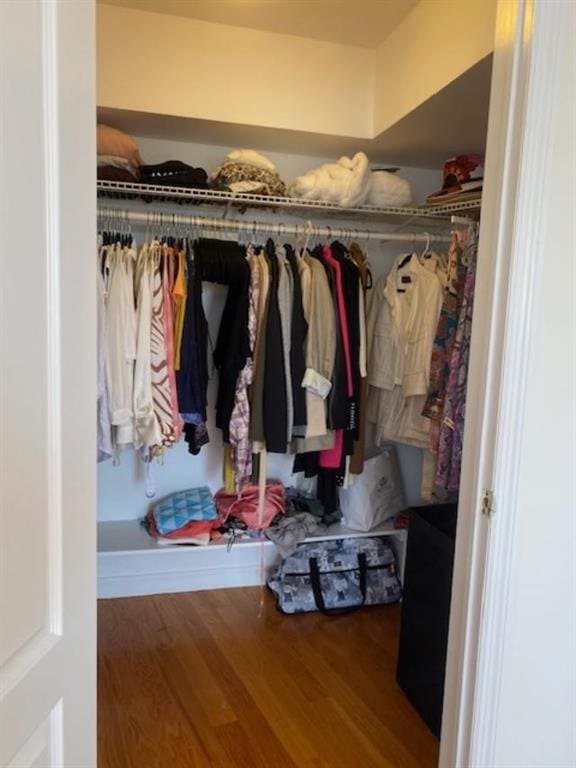 walk in closet featuring wood-type flooring