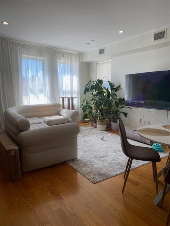 living room with hardwood / wood-style flooring