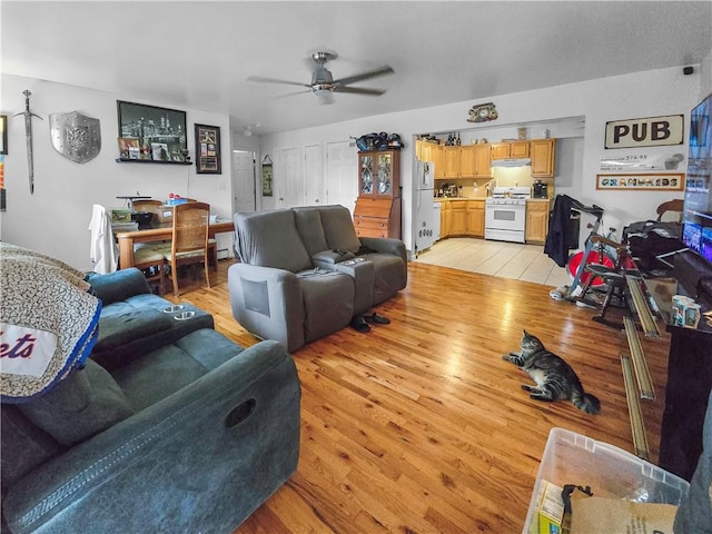 living room featuring light hardwood / wood-style flooring and ceiling fan