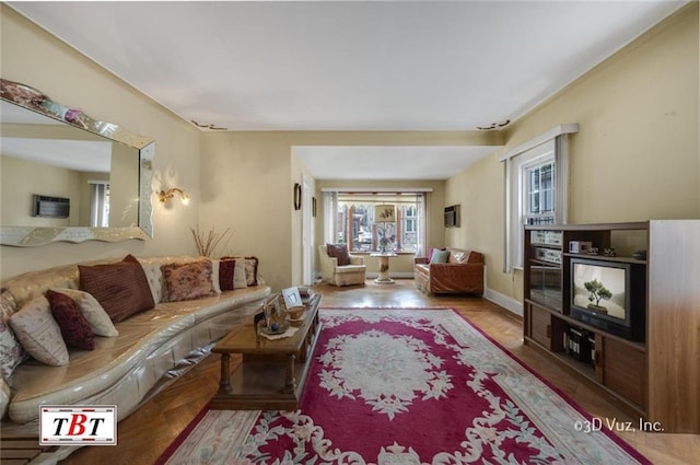 living room with light wood-type flooring