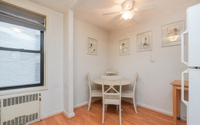 dining room with light hardwood / wood-style floors, radiator, and ceiling fan