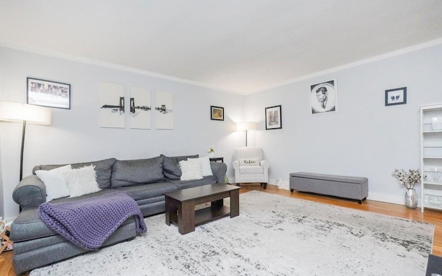61 Oliver St Unit 2V, Brooklyn, NY 11209 - living room featuring wood finished floors and baseboards
