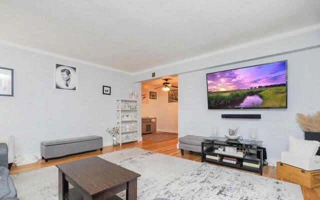 living room featuring hardwood / wood-style flooring, ceiling fan, and ornamental molding