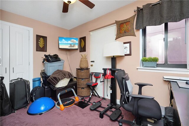 exercise area with carpet floors and ceiling fan