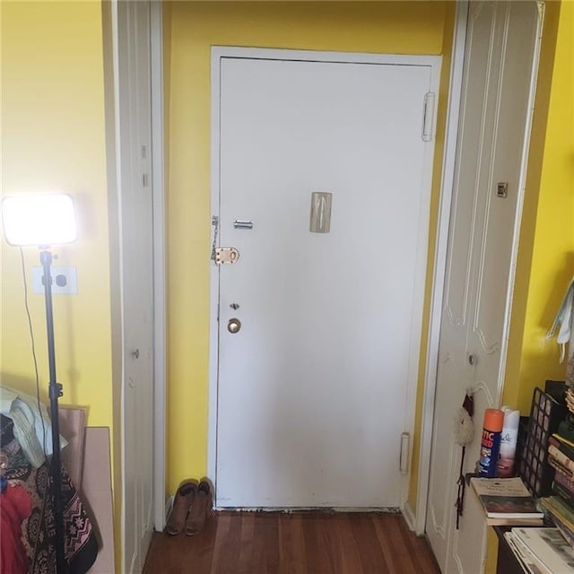 doorway with dark hardwood / wood-style floors