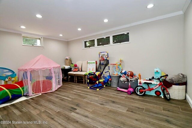 game room featuring crown molding and wood-type flooring