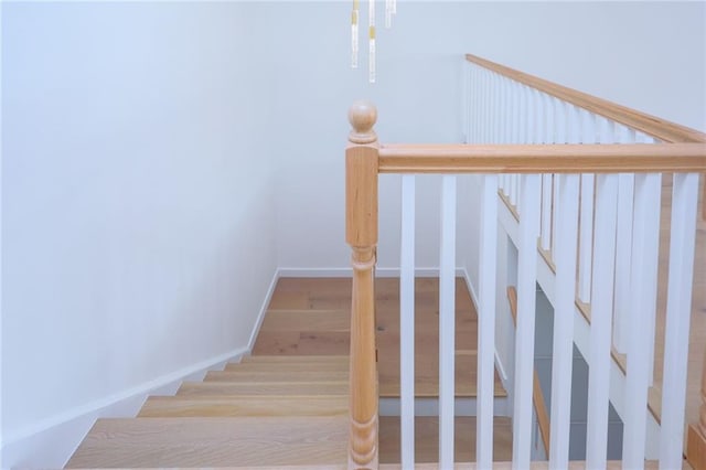 staircase with hardwood / wood-style floors