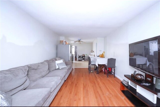 living room with ceiling fan and light hardwood / wood-style flooring