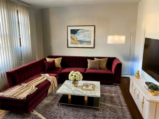 living room featuring hardwood / wood-style flooring