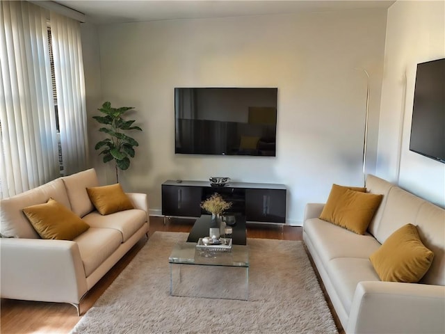 living room with baseboards and wood finished floors