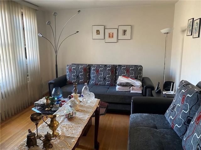 living room with wood-type flooring