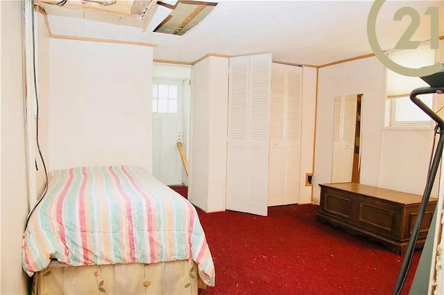 bedroom featuring dark colored carpet and multiple windows