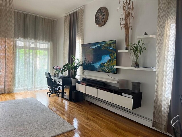 living room featuring wood-type flooring