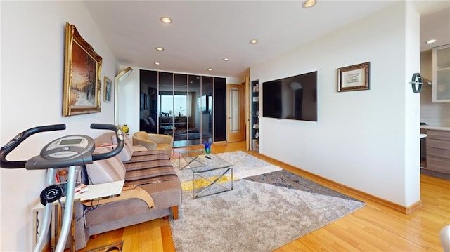 living room with light wood-type flooring