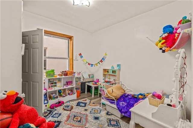 playroom featuring hardwood / wood-style floors