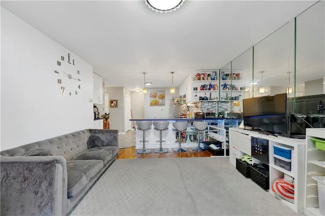 living room with light hardwood / wood-style flooring