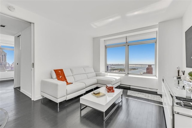 living room with dark wood-type flooring