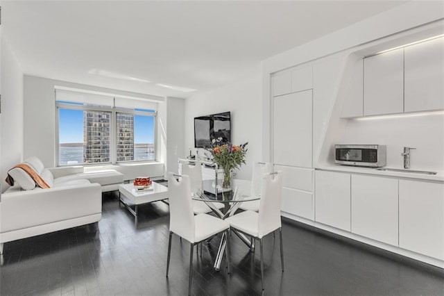 dining area featuring sink and dark hardwood / wood-style flooring