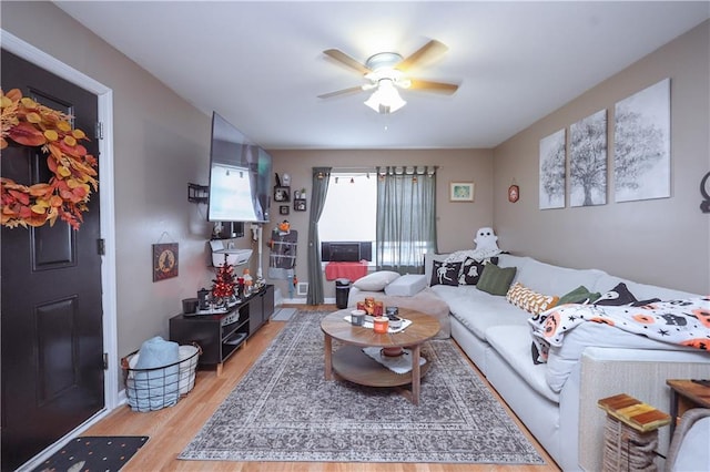 living room with ceiling fan and light hardwood / wood-style flooring