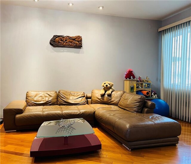 living room with light hardwood / wood-style flooring