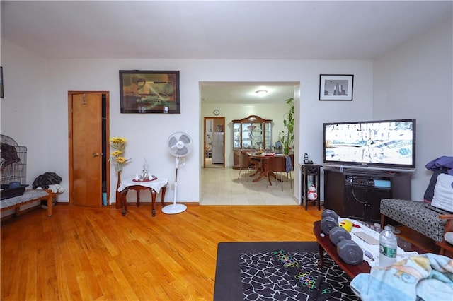 living room featuring wood-type flooring