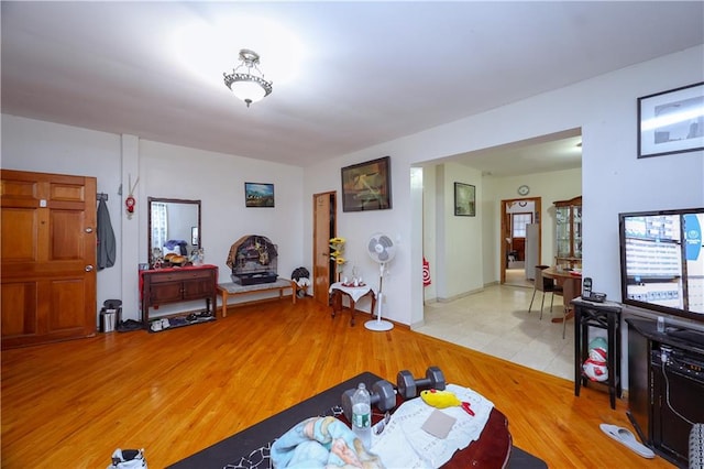 living room with light hardwood / wood-style floors