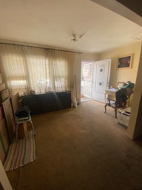 view of carpeted living area