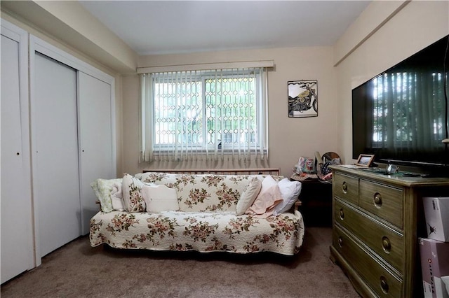 living area with carpet