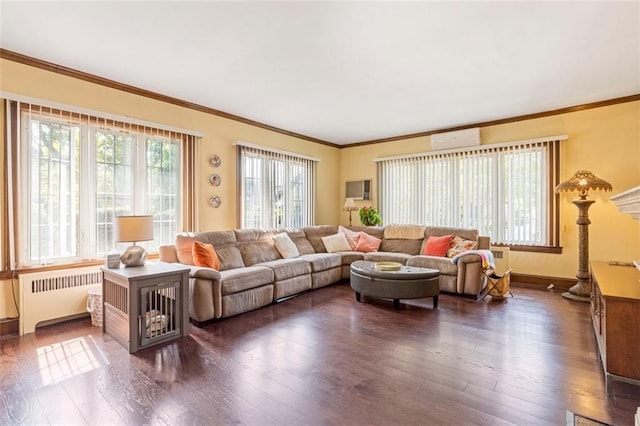 living area with crown molding, dark wood finished floors, and radiator