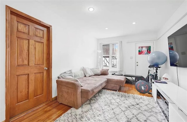 living room with hardwood / wood-style floors