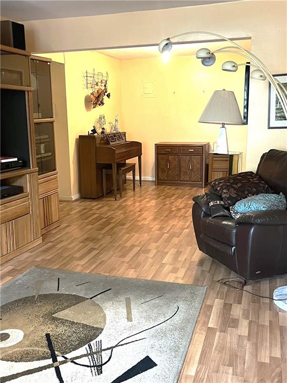 living room with wood-type flooring