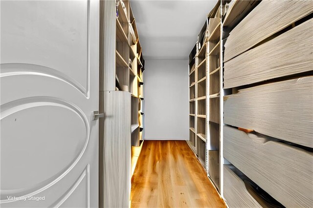 spacious closet featuring wood-type flooring