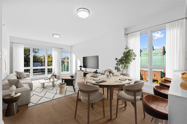 dining space with plenty of natural light and hardwood / wood-style floors