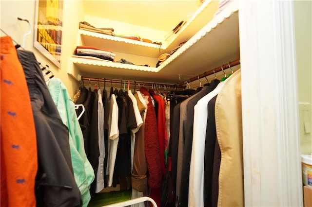 view of spacious closet