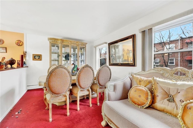 living area featuring a baseboard radiator and carpet