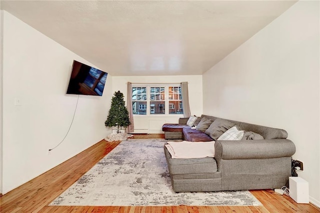 living room featuring hardwood / wood-style floors