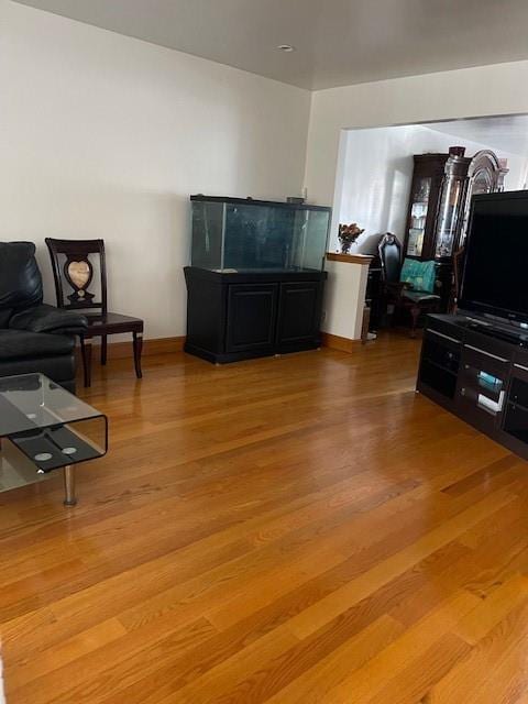 living room with hardwood / wood-style floors