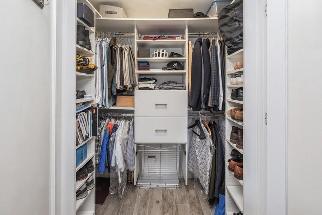 view of walk in closet