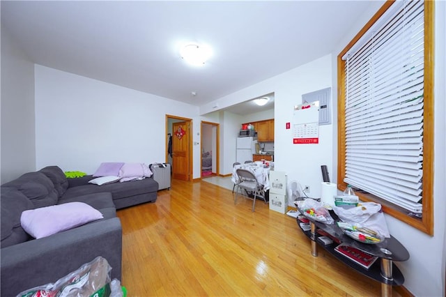 living area featuring light wood-style flooring and radiator
