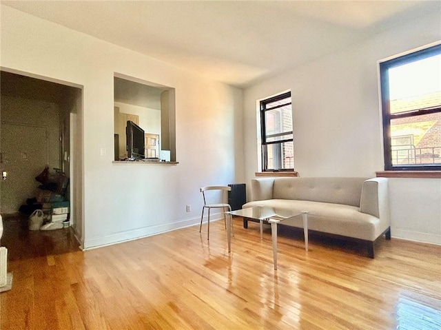 living area featuring light hardwood / wood-style floors and a healthy amount of sunlight