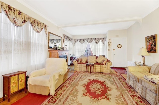 living room with wood-type flooring