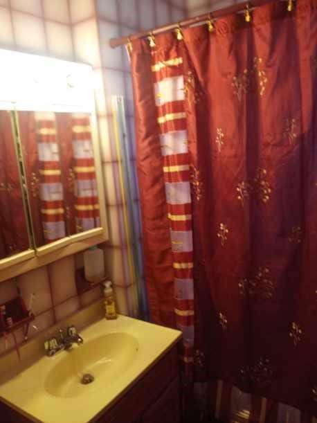 full bathroom with a shower with curtain and vanity