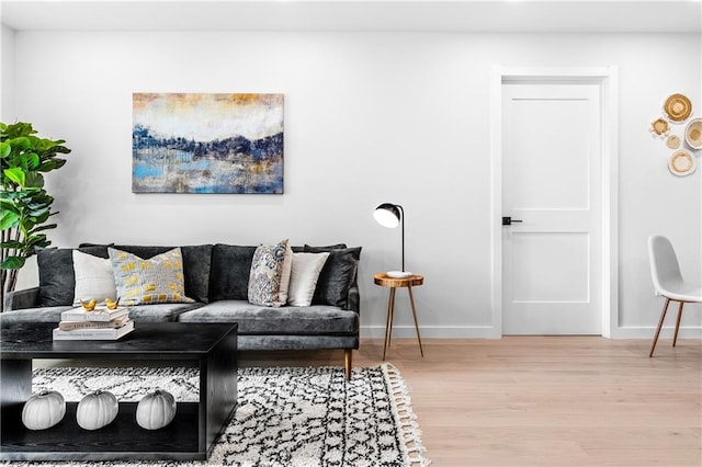 living room featuring hardwood / wood-style floors