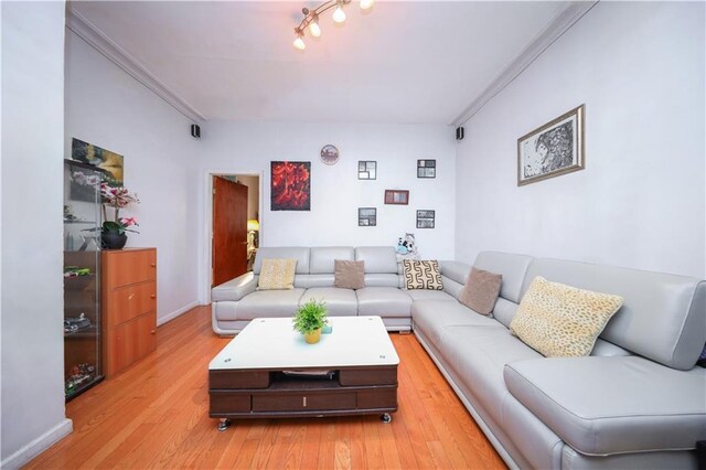 living room with light hardwood / wood-style floors and crown molding