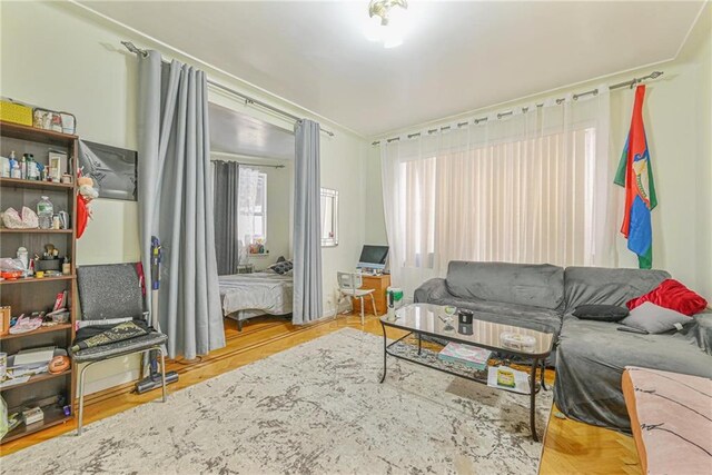 living room with light hardwood / wood-style flooring