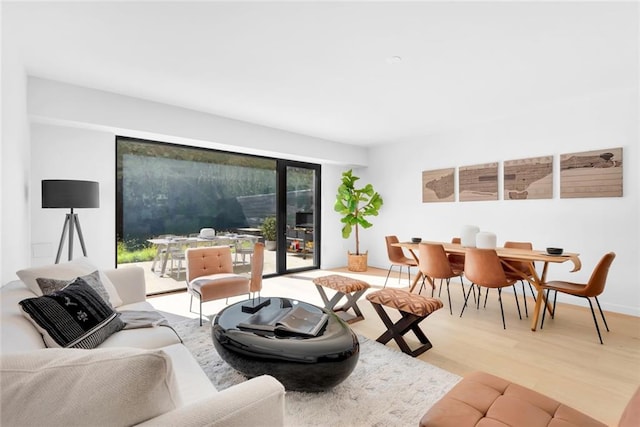 living room featuring hardwood / wood-style flooring