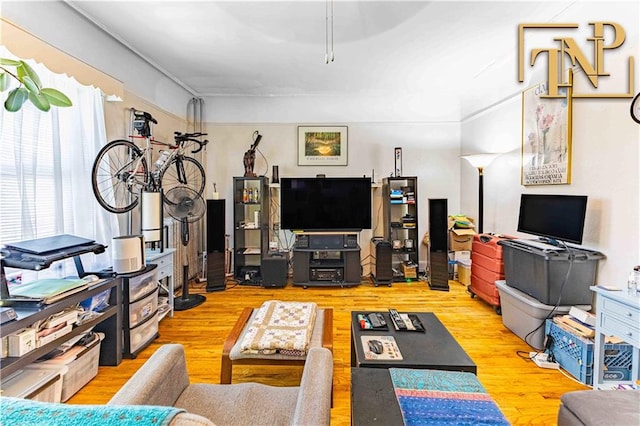 living room with light wood-type flooring