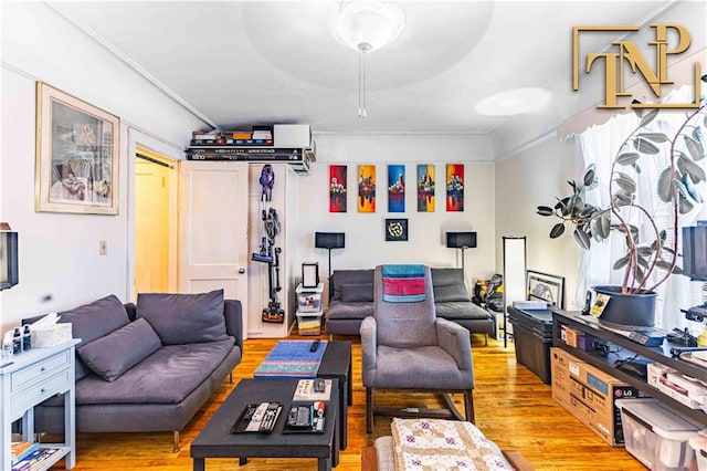 living room with light hardwood / wood-style flooring