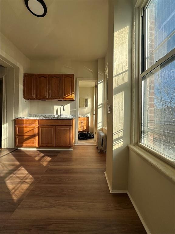 interior space with dark hardwood / wood-style flooring and a wealth of natural light